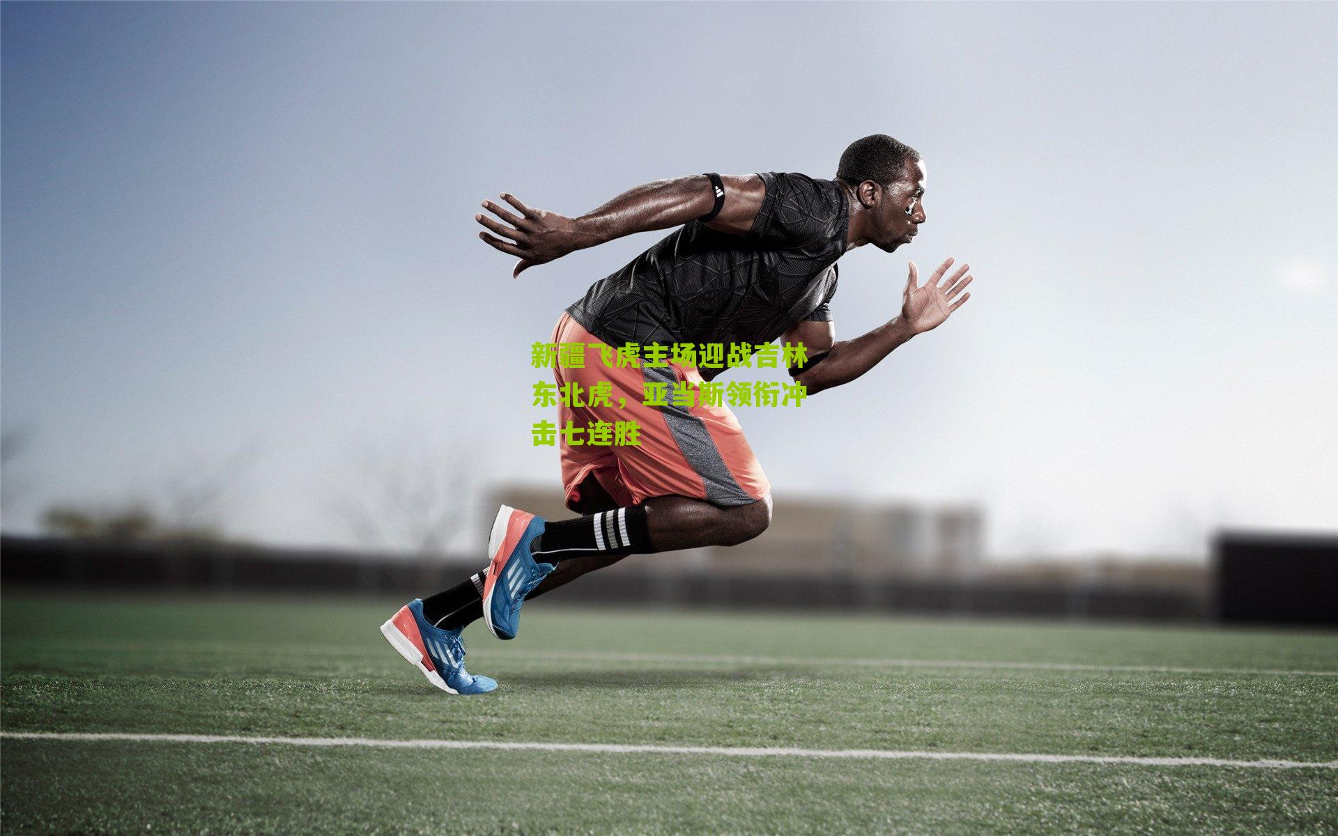 新疆飞虎主场迎战吉林东北虎,亚当斯领衔冲击七连胜